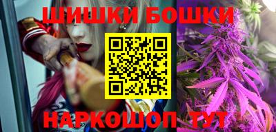 индика Будённовск