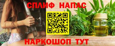 индика Будённовск