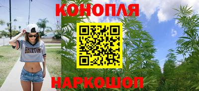 индика Будённовск