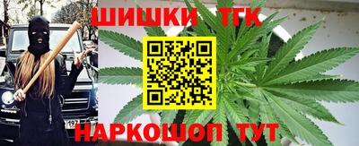индика Будённовск