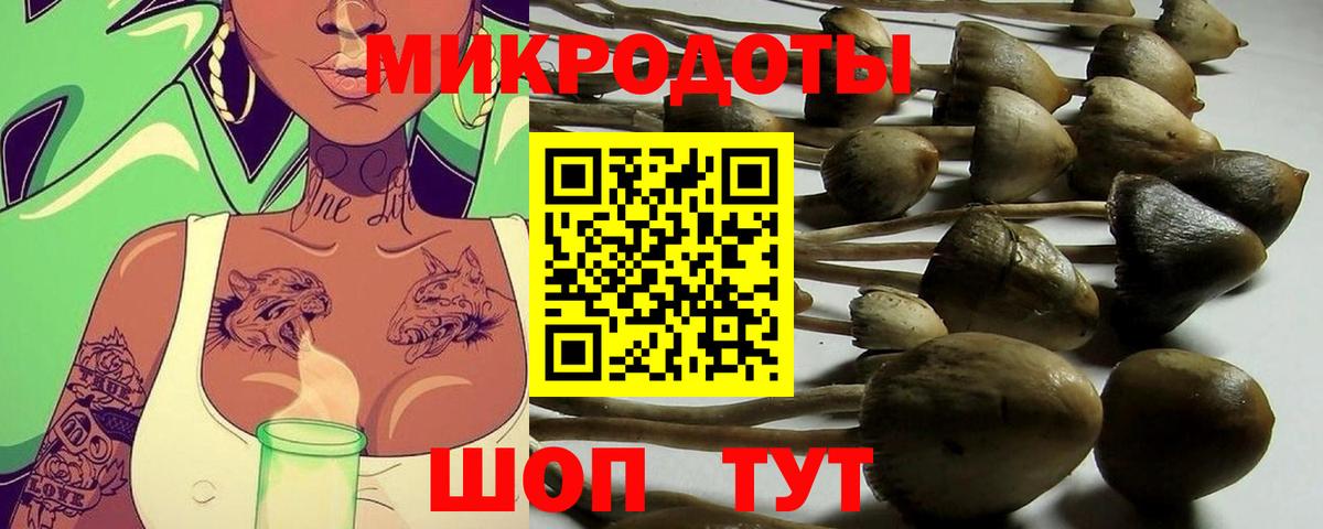 Наро-Фоминск  Псилоцибиновые грибы прущие грибы  Вход с VPN  Псилоцибиновые грибы Psilocybine cubensis 